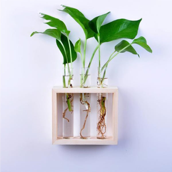 Wall Hanging Test Tube Vase