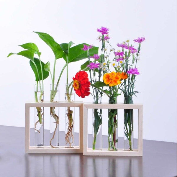 Wall Hanging Test Tube Vase