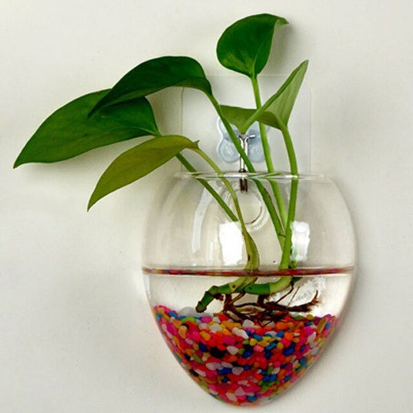 Glass Hanging Wall Vase