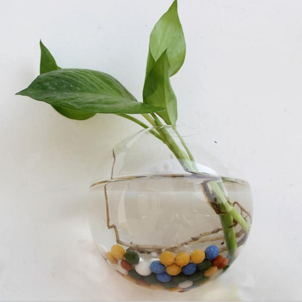 Creative Hanging Glass Wall Vase
