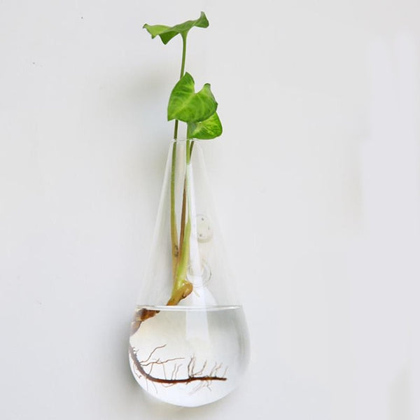 Creative Hanging Glass Wall Vase