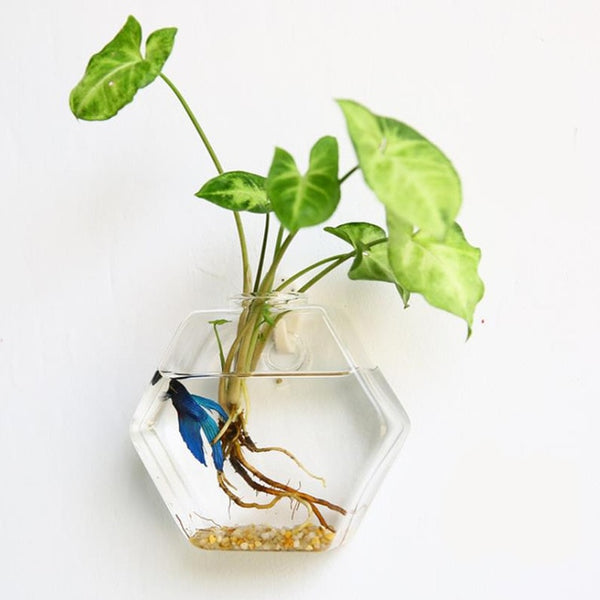 Creative Hanging Glass Wall Vase