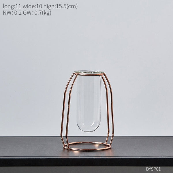 Terrarium Glass Vase