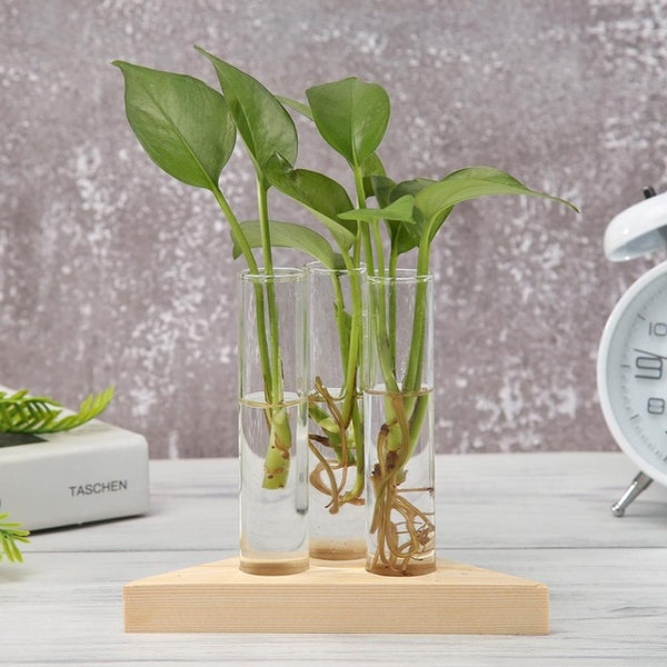 Wood Frame Glass Vase