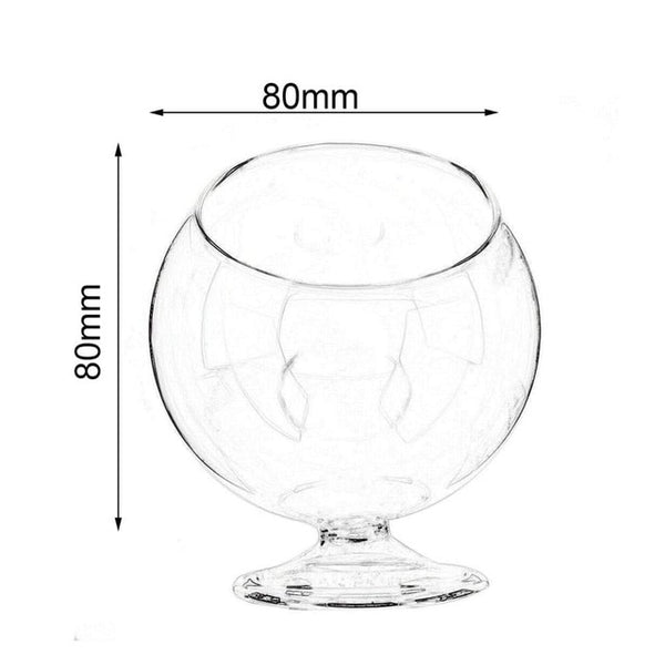 Round Glass Hydroponic Plant Vase