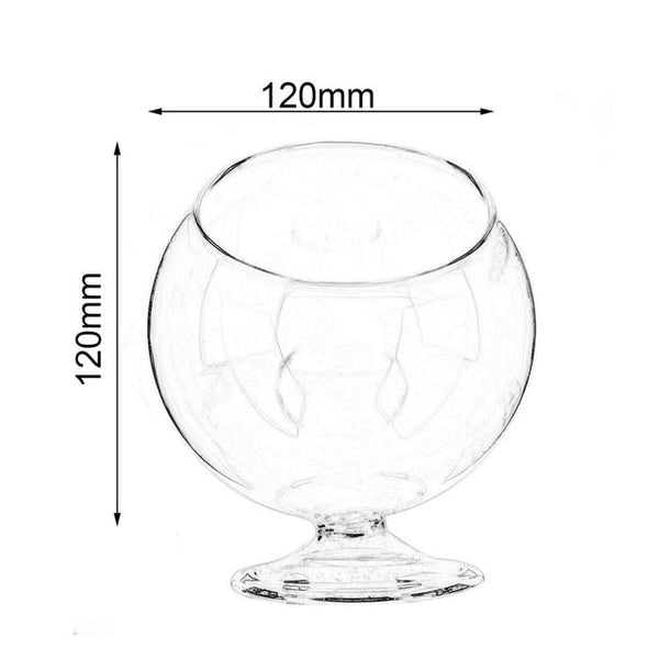 Round Glass Hydroponic Plant Vase